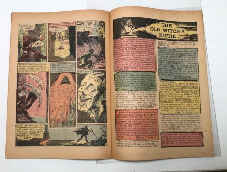 The Haunt of Fear No 17 August 1950 EC Comics 12.jpg