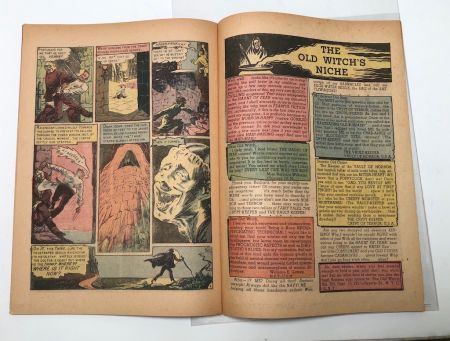 The Haunt of Fear No 17 August 1950  EC Comics 12.jpg