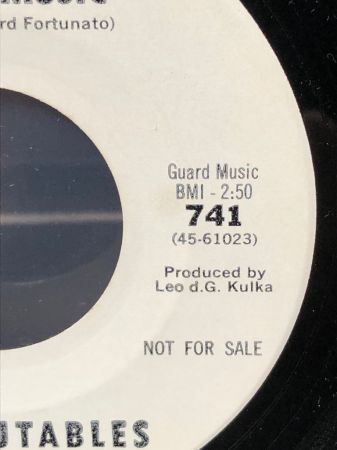 The Vejtables Shadows on Uptown 741 white label promo 10.jpg