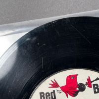 006 Like What, Me Worry b:w Why Can’t I Stay on Red Bird PROMO 11.jpg