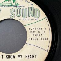 2 The Bleu Lights They Don’t Know My Heart b:w Forever on Bay Sound 6.jpg