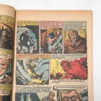 Haunt of Fear No 19 June 1953 published by EC Comics 11.jpg