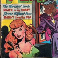 Journey Into Fear No. 7 May 1952 Published by Superior Comic 8.jpg