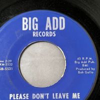 Kenny and The Kasuals Blind Date b:w Please Don’t Leave Me on Big Add Records 4 (in lightbox)