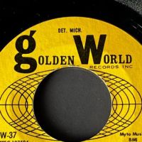 Larry Knight & The Upsetters Hurt Me on Golden World Records 11.jpg