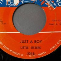 Little Sisters Just A Boy b:w First You Break My Heart on Detroit Sound 8 (in lightbox)