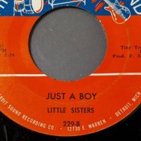 Little Sisters Just A Boy b:w First You Break My Heart on Detroit Sound 8.jpg