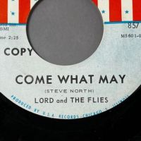 Lord and The Flies Echoes b:w Come What May on USA Records 857 DJ Promo 8 (in lightbox)