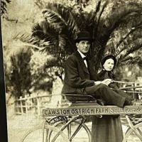 Ostrich Farm in Pasadena California Real Photographic Postcard 2.jpg