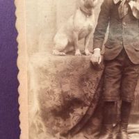 Schutte Baltimore Photographer Cabinet Card Young Boy with His Dog on Table 4.jpg