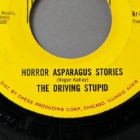 The Driving Stupid Horror Asparagus Stories b:w The Reality of Air Fried Borsk on Kr Records 3 (in lightbox)