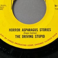 The Driving Stupid Horror Asparagus Stories b:w The Reality of Air Fried Borsk on Kr Records 3.jpg