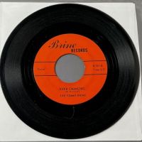 The Foamy Brine Tell Her b:w Ever Changing on Brine Records 6.jpg