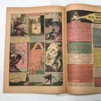 The Haunt of Fear No 17 August 1950  EC Comics 12.jpg