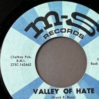 The Just Luv Valley of Hate b:w Good Good Lovin’ on MS Records 4.jpg