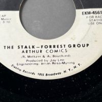 The Stalk Forrest Group What is Quicksand on Elektra White Label Promo 8.jpg