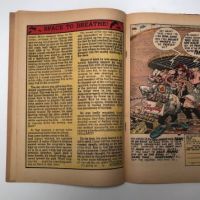 The Vault of Horror No. 35 March 1954 Published by EC Comics 21.jpg