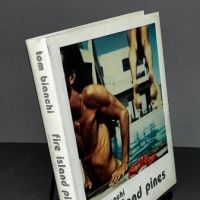 Tom Bianchi Fire Island Pines Polaroids 1975-1983 Hardback with DJ 2.jpg