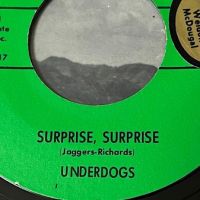 Underdogs Get Down On Your Knees Surprise on Hideout Records 9.jpg