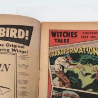 Witches Tales No. 14 September 1952 8.jpg (in lightbox)