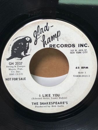 White Label Promo The Shakespeare’s I Like You 8.jpg