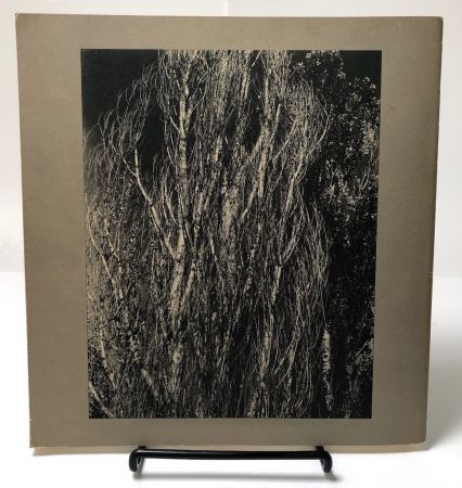 Alfred Stieglitz Photographer by Doris Bry Published by Museum of Fine Arts Boston 1965 Softcover 11.jpg