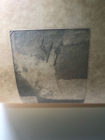 Edgar Degas Femme a la Mantille Aquatint Etching Restrike From Canceled Plate 10.jpg