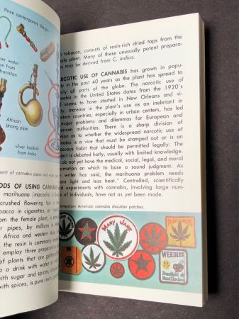 Hallucinogenic Plants A Golden Guide Book 6.jpg