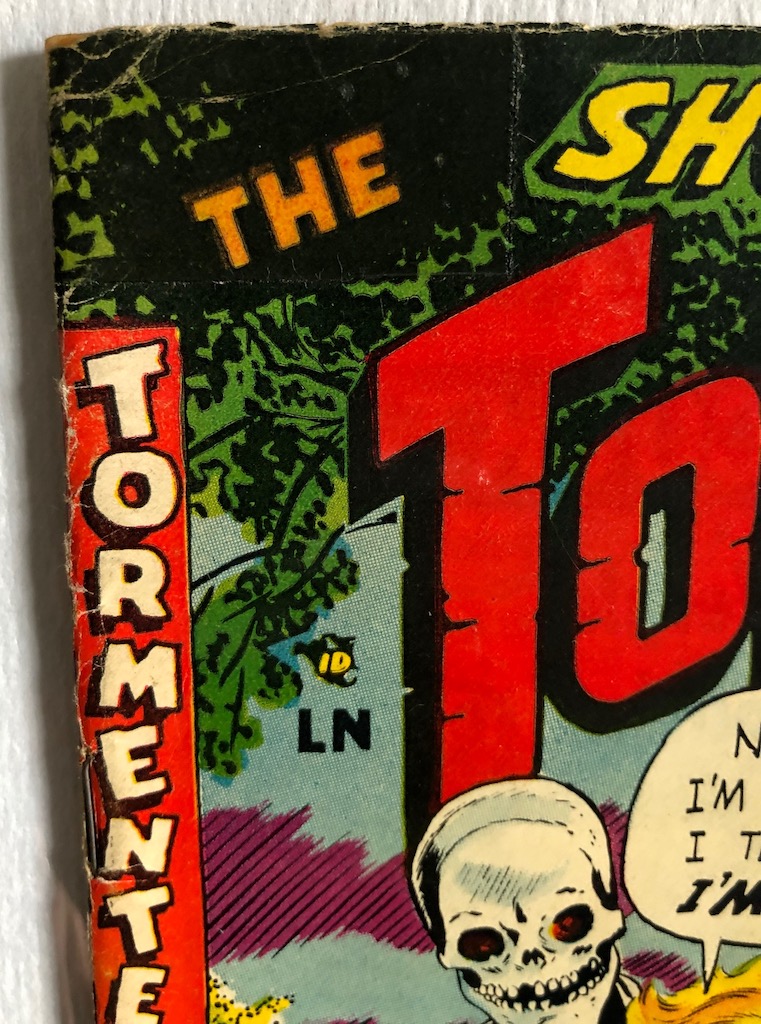 he Tormented No. 1 July 1954 published by Sterling Comics 2.jpg