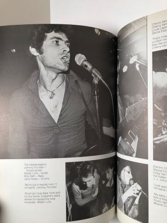Punk Rock by Virginia Boston Published by Penguin Books 1978 1st Edition 11.jpg