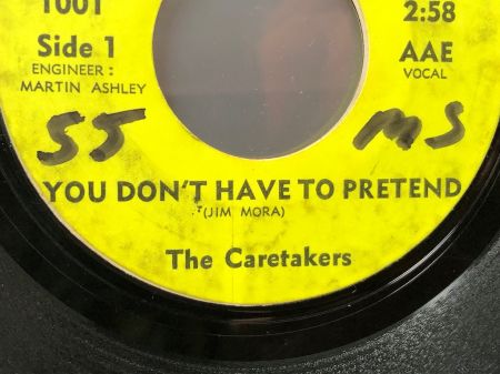 The Caretakers You Don't Have To Pretend : Hidden Steps on Worm Records 4.jpg