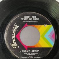 Adams Apples Don’t Take It Out On This World b:w Don’t You Want Me Home on Brunswick 2.jpg