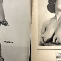 Cavalcade of Burlesque March 1954 Magazine 3 (in lightbox)