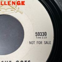 Chris Morgan & The Togas There She Goes on Challenge White Label Promo 6.jpg