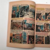 Crime SuspenStories No. 23 July 1954 published by EC Comics 12.jpg