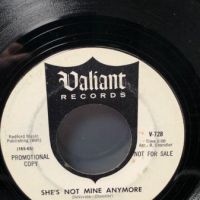 Denny Provisor It Really Tears Me Up Valiant Records V 728 White Label Promo 9.jpg