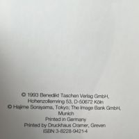 Hajime Sorayama 1995 Soft Cover Edition Published by Taschen 4.jpg