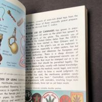Hallucinogenic Plants A Golden Guide Book 6.jpg