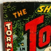 he Tormented No. 1 July 1954 published by Sterling Comics 2.jpg