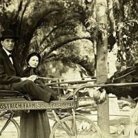 Ostrich Farm in Pasadena California Real Photographic Postcard 3.jpg