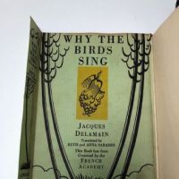 Prentiss Taylor Study and Mock Up Book for Why Birds Sing by Jacques Delamain 5 (in lightbox)