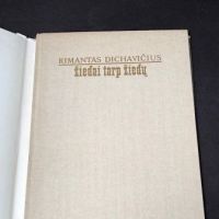 Rimantas Dichavicius Blossoms Among Blossoms Hardback 1989 9.jpg