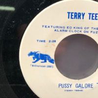 Terry Teene Curse of the Hearse on Iowa Records 8.jpg