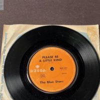 The Blue Stars I Can Take It b:w Please Be A Little Kind on Decca New Zealand 11.jpg (in lightbox)