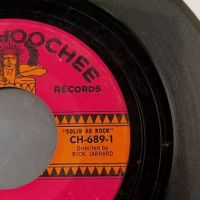 The Bostweeds Simple Man b:w Little Bad News on Chattahoochee Records 3.jpg