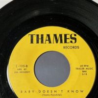 The Echoes of Carnaby Street No Place or Time on Thames Records 7.jpg