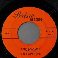 The Foamy Brine Tell Her b:w Ever Changing on Brine Records 7.jpg