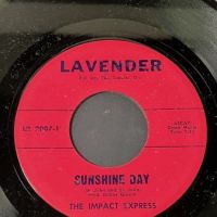 The Impacts Don't You Dare b:w Sunshine Day on Lavender 8.jpg