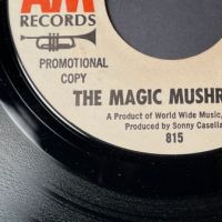 The Magic Mushrooms It’s-A-Happening on A&M Records White Label Promo 3.jpg