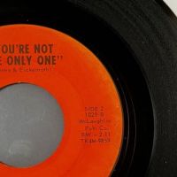 The Rainmakers Tell Her No b:w You’re Not The Only One on Phalanx 7.jpg